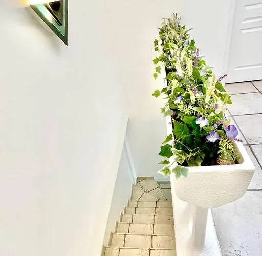 Charmante Pour 10 Personnes Saint-Augustin (Charente-Maritime)